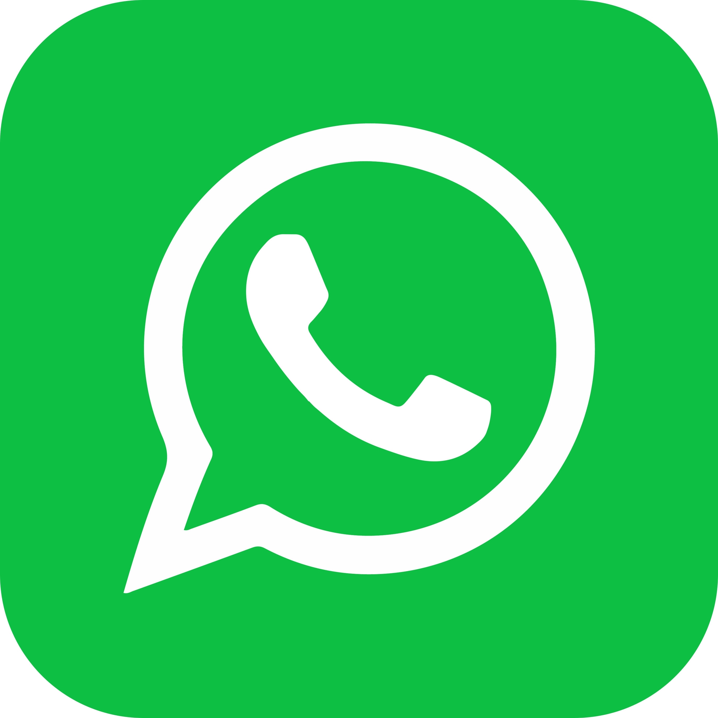 Icone Whatsapp